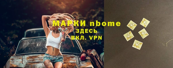 сатива Аша