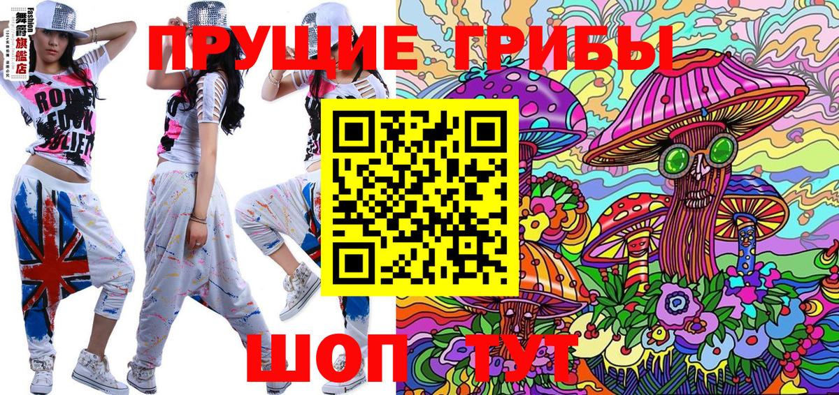 Псилоцибиновые грибы прущие грибы Вольск