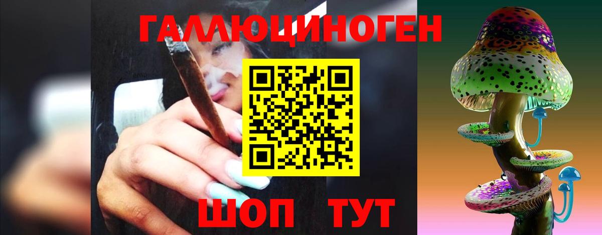 Галлюциногенные грибы Psilocybine cubensis  Вольск 