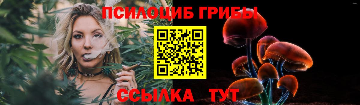 Галлюциногенные грибы Magic Shrooms Вольск