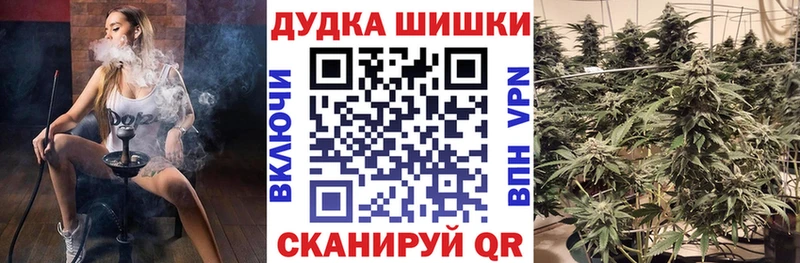 Каннабис OG Kush Вольск