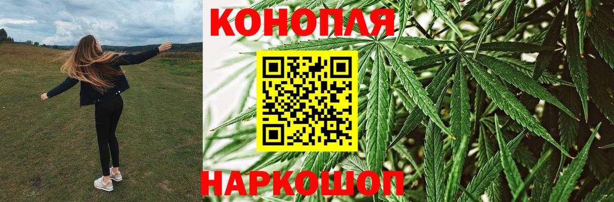 Бошки марихуана White Widow  Конопля тримм  МАРИХУАНА план  Вход с VPN  Вольск 